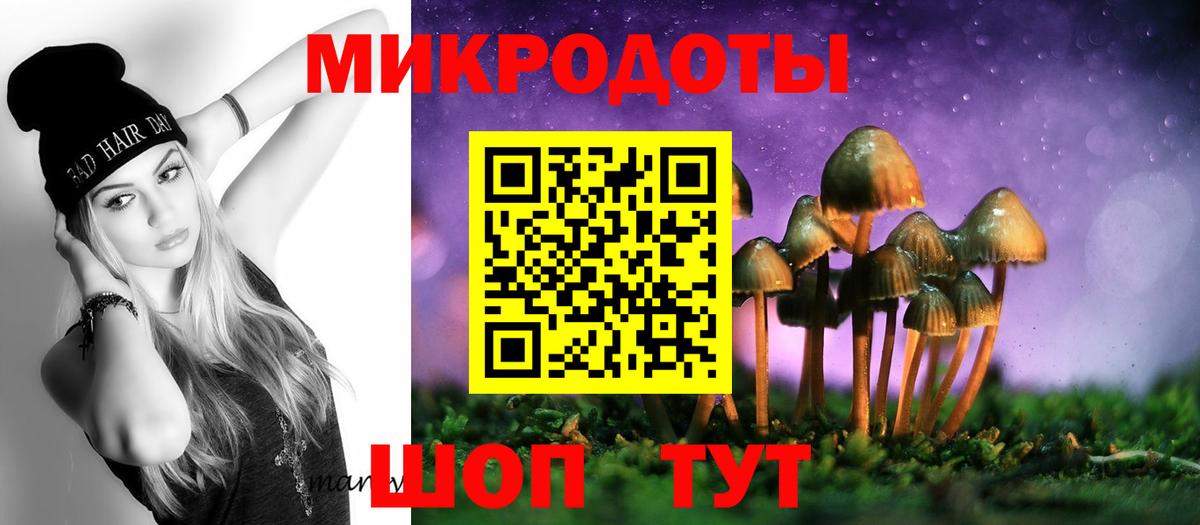 купить наркотики сайты  Псилоцибиновые грибы мицелий  Вход с VPN  Ейск 